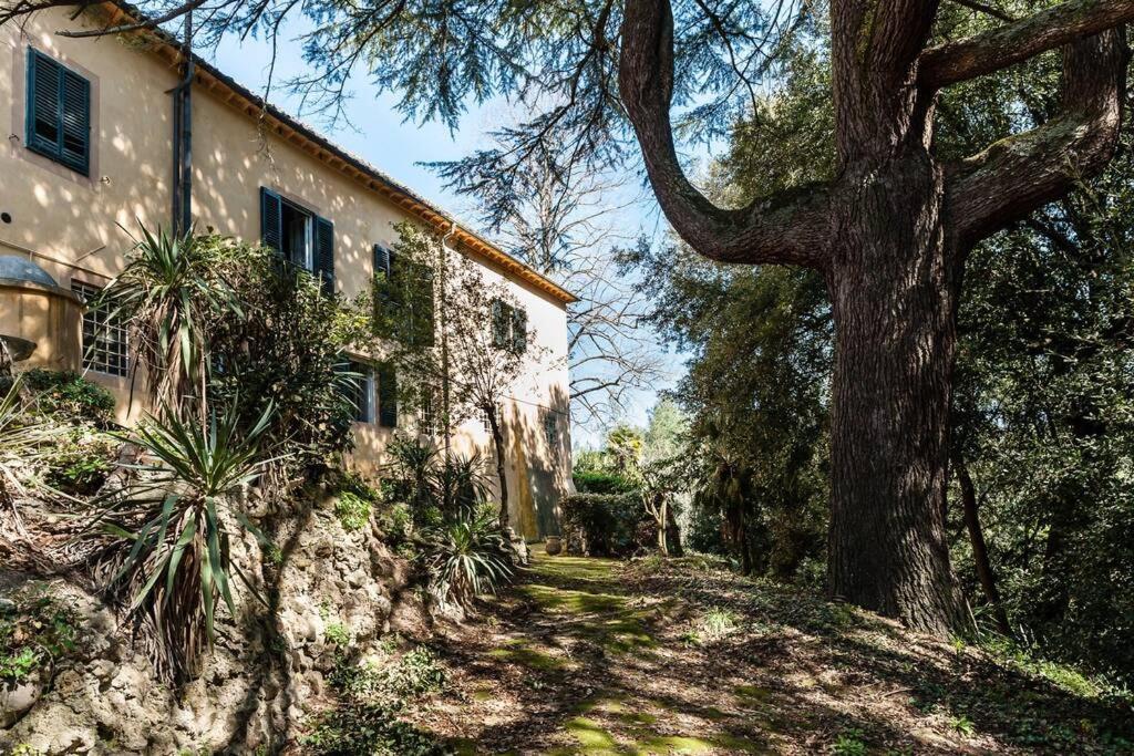 Villa Ott Crespina Esterno foto