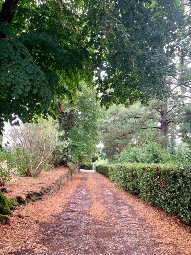 Villa Ott Crespina Esterno foto